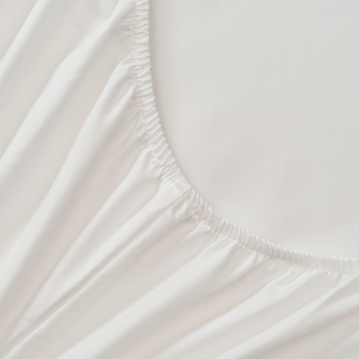 Sábana bajera King blanca 200 hilos